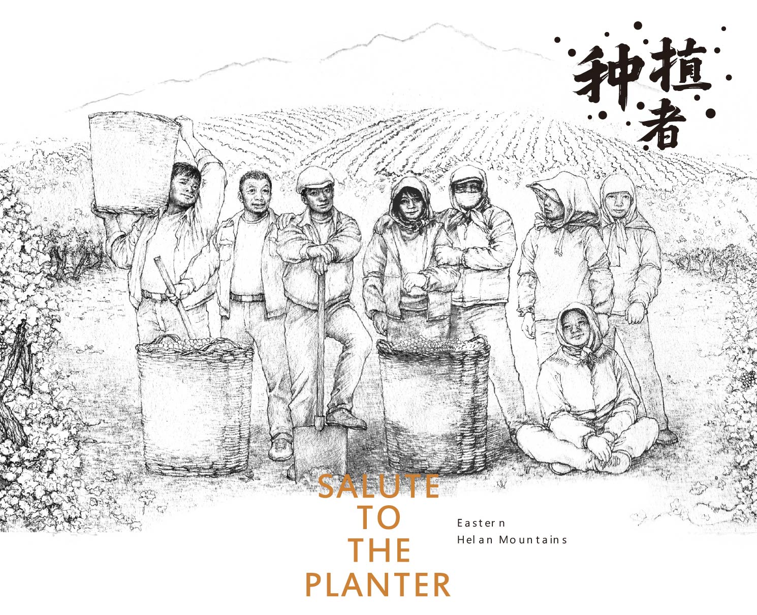 种植者